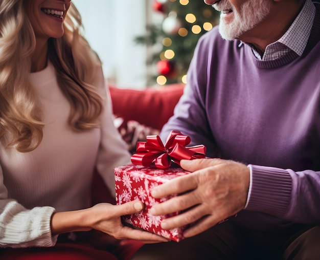 Portrait d'un couple célébrant Noël