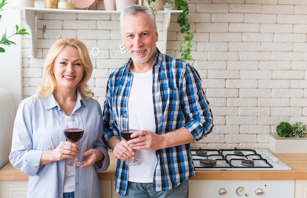 Portrait, couples aînés, regarder, appareil-photo, tenant verres à vin, dans main