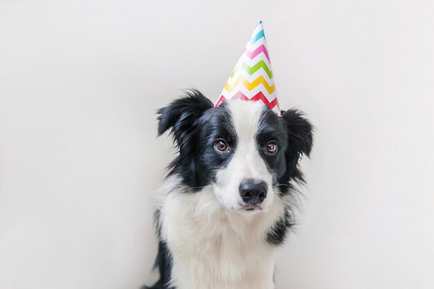 Joyeux Anniversaire Animaux Drole