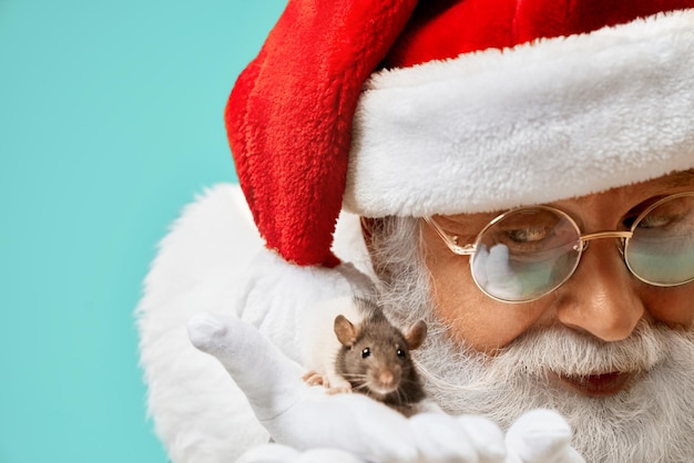 Portrait du père noël montrant un rat blanc à droite de l'appareil photo