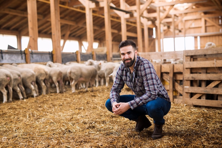 Photo gratuit portrait de l'éleveur fermier prospère dans la bergerie