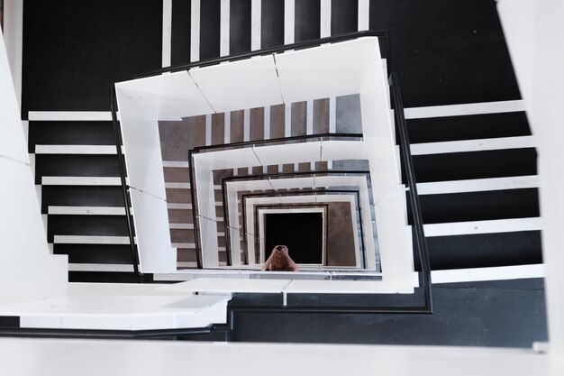 Portrait d'escaliers en colimaçon et une femme prenant une photo pendant la journée