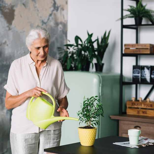 Portrait d'une femme âgée arrosant la plante en pot