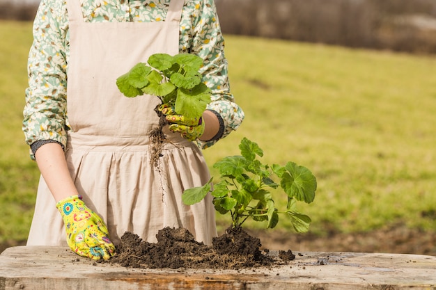 Portrait de femme jardinage