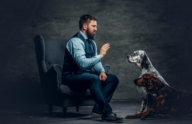 Portrait d'un homme barbu élégant assis sur une chaise et ses deux chiens setter irlandais.