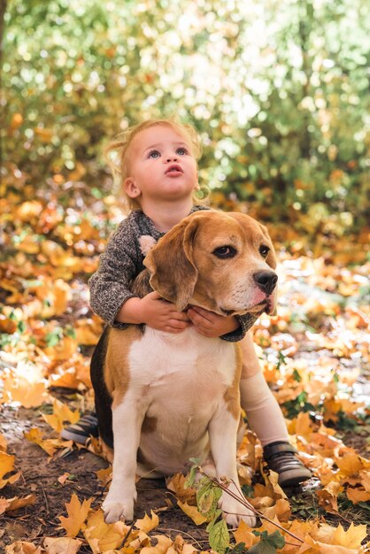 Portrait de jeune fille jouant avec un chien Beagle en forêt