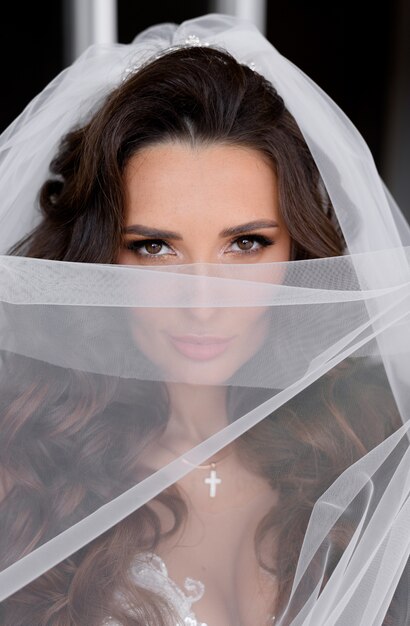 Portrait d'une jolie mariée brune à travers le voile