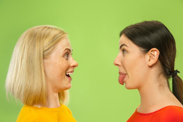 Portrait de jolies filles charmantes dans des tenues décontractées isolées. Deux modèles féminins en copines ou lesbiennes. Concept de LGBT, égalité, émotions humaines, amour, relation.