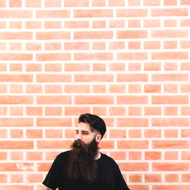 Portrait, long, barbu, homme, devant, mur brique