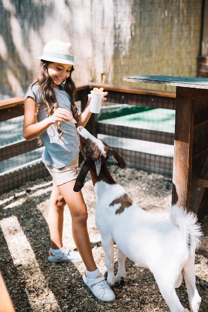 Portrait, mignon, fille, nourriture, chèvre, ferme