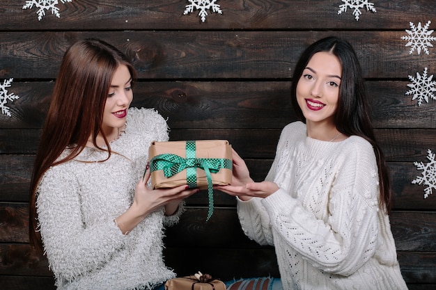 Portrait de style de vie intérieur de deux jolies jeunes femmes drôles amis câlins souriant