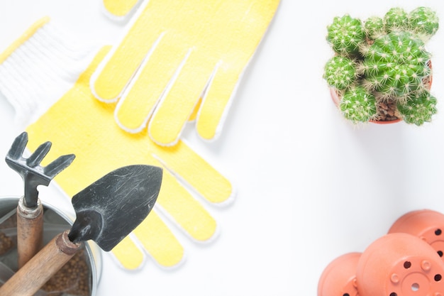 Photo gratuite pot de cactus et outils de jardin isolés sur fond blanc, copie espace