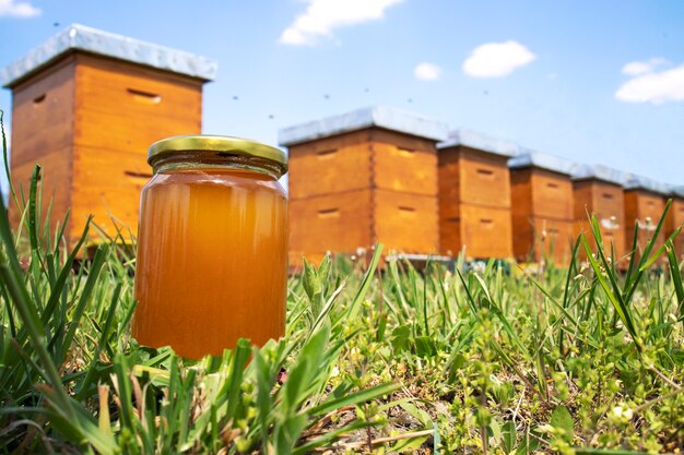 Pot de miel et ruches sur pré au printemps