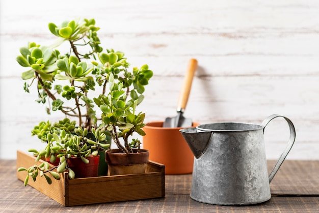 Pot de plantes avec arrosoir