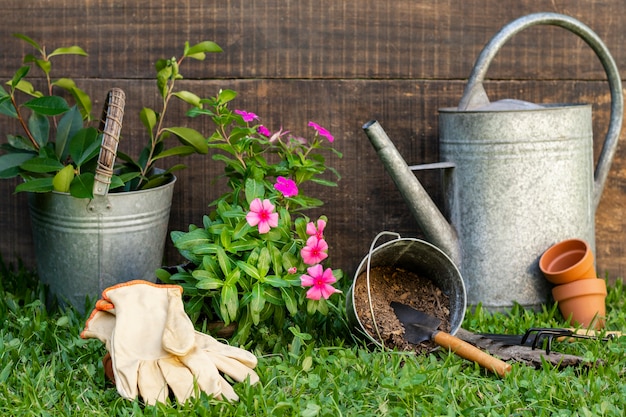 Pot de plantes avec arrosoir