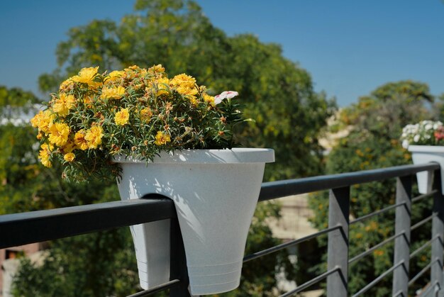 Pots de fleurs décoration hôtel hôtel idée design château intérieur fleuri balcon