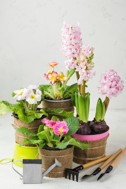 Pots de fleurs en fleurs à angle élevé