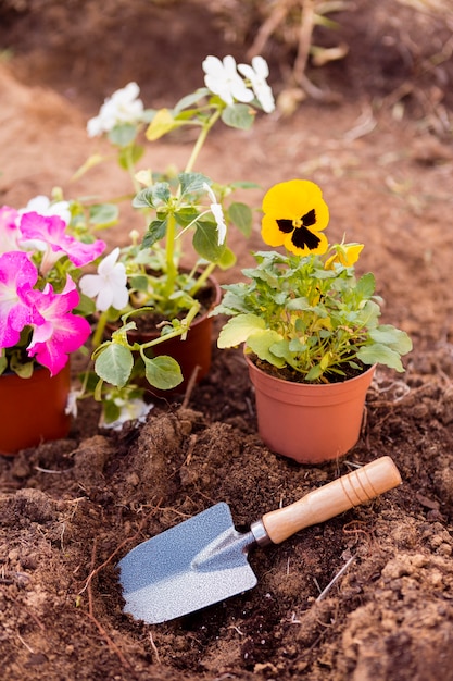 Pots de fleurs sur le sol avec l'outil