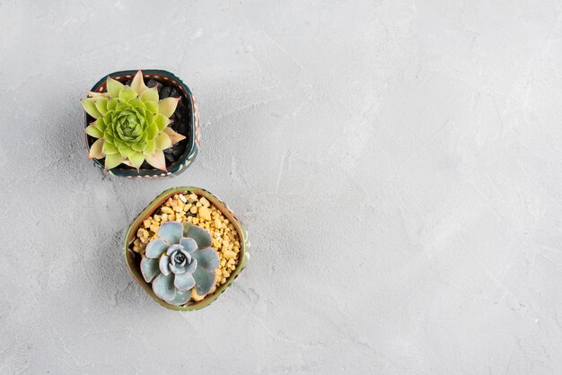 Pots de fleurs sur une table blanche avec espace de copie