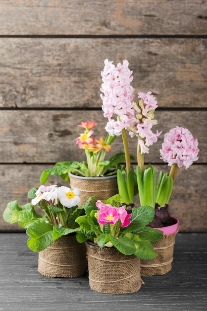 Photo gratuite pots de fleurs sur table