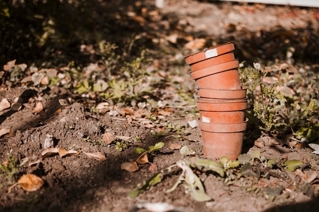 Photo gratuite pots de fleurs