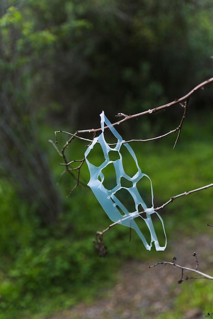 Photo gratuite poubelle en plastique sur une branche d'arbre en forêt
