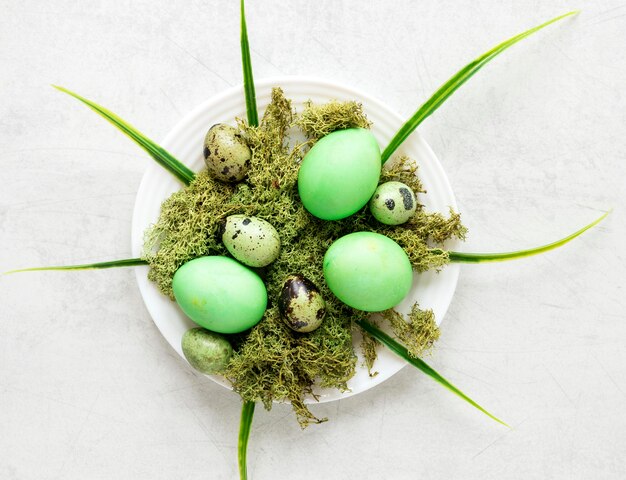 Poulet de Pâques vert et oeufs de caille