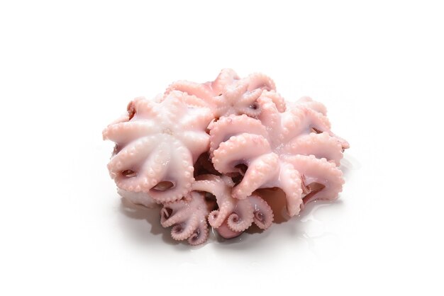 Poulpe Bebe Marine Au Citron Sur Fond Noir Photo Premium