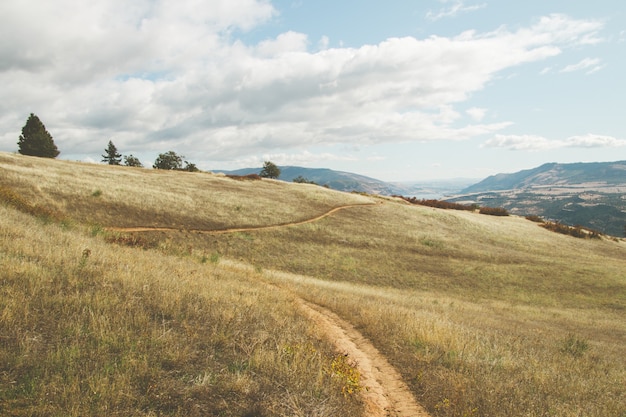 Photo gratuite prairie avec un ciel bleu clair