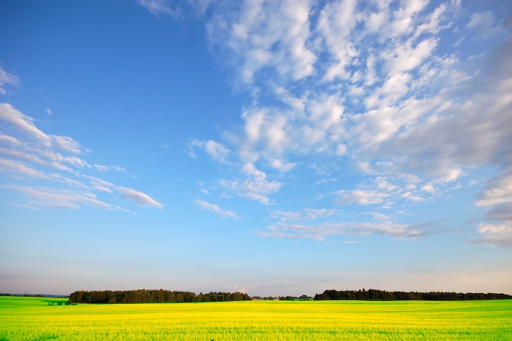 Photo gratuit prairie paisible avec des arbres dans la distance