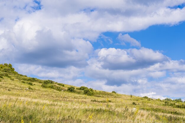 Pré vert sur une colline au pied du Shihan de Toratau