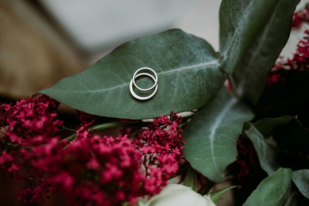 Précieuses et belles bagues de fiançailles en argent posées sur une feuille de fleur