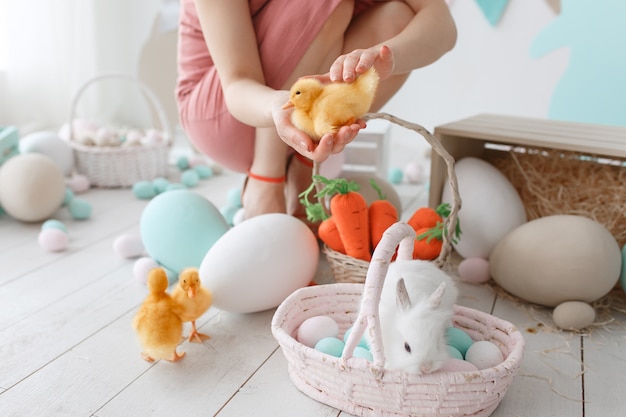 Préparation pour les vacances de Pâques. Femme installe des canetons et un lapin parmi des oeufs peints