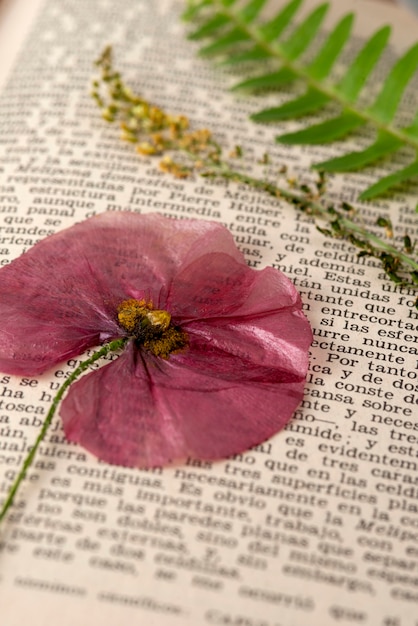 Photo gratuite presse à fleurs à angle élevé avec livre