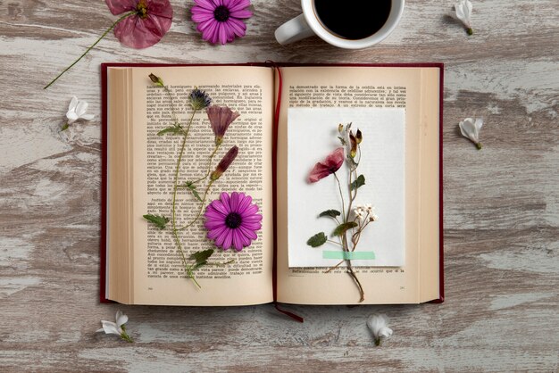 Presse à fleurs vue de dessus avec livre