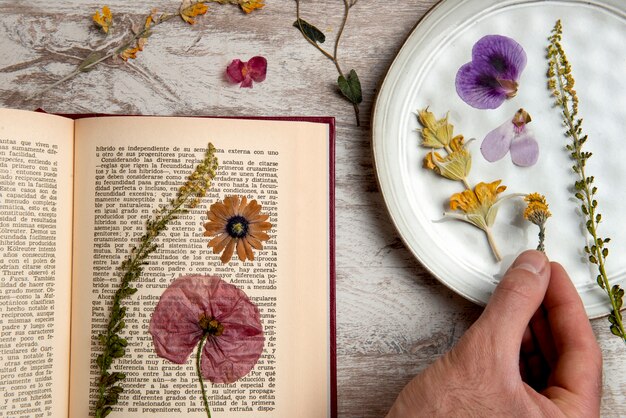 Presse à fleurs vue de dessus avec livre