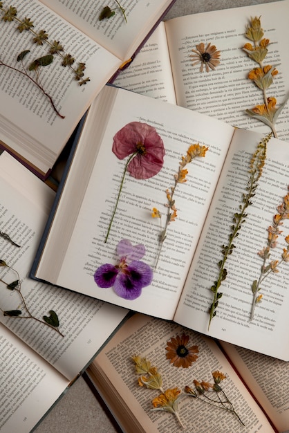 Presse à fleurs vue de dessus avec des livres