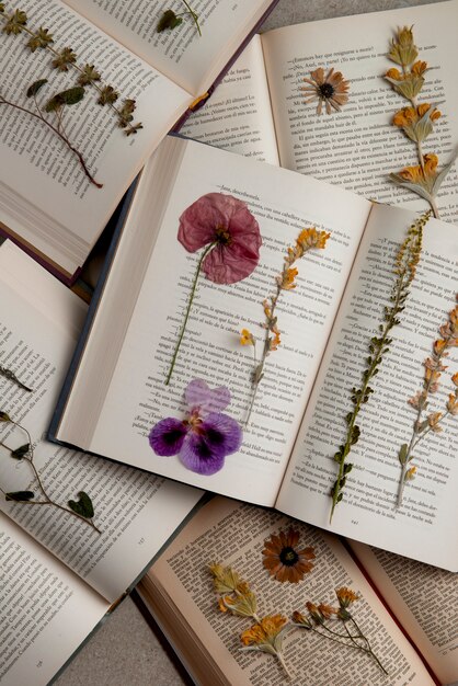 Presse à fleurs vue de dessus avec des livres