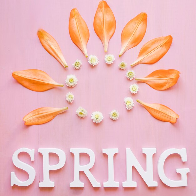 Printemps écrit sous les fleurs et les feuilles