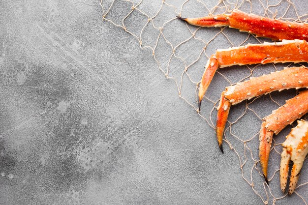 Prise de homard vue de dessus en résille