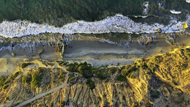 Prise de vue abstraite grand angle d'un environnement naturel sauvage avec des rochers et des arbres