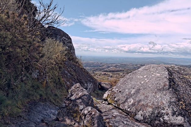 Prise de vue au grand angle d'un champ de montagne plein de roches et de brindilles