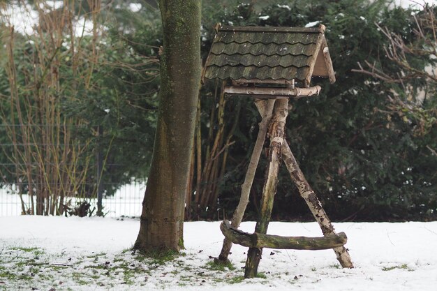 Prise de vue au grand angle d'une construction en bois à côté d'un arbre