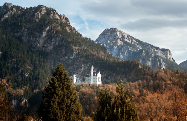 Prise de vue au grand angle du château de Neuschwanstein en Allemagne derrière une montagne entourée par la forêt