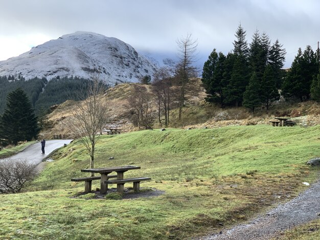 Prise de vue au grand angle de montagnes entourées d'arbres et de verdure