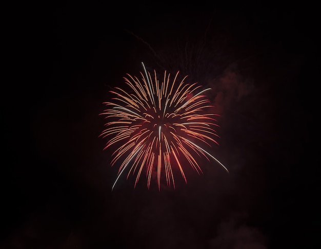 Prise de vue en contre-plongée d'un beau feu d'artifice rouge isolé sur ciel noir