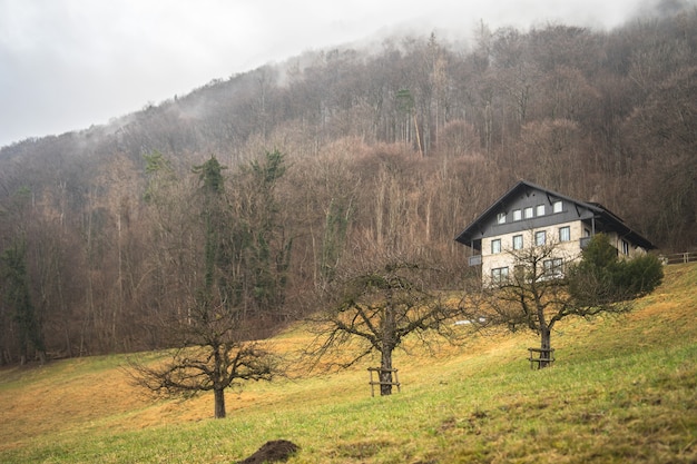 Prise de vue en contre-plongée d'une maison sur une montagne avec des arbres nus un jour de brouillard