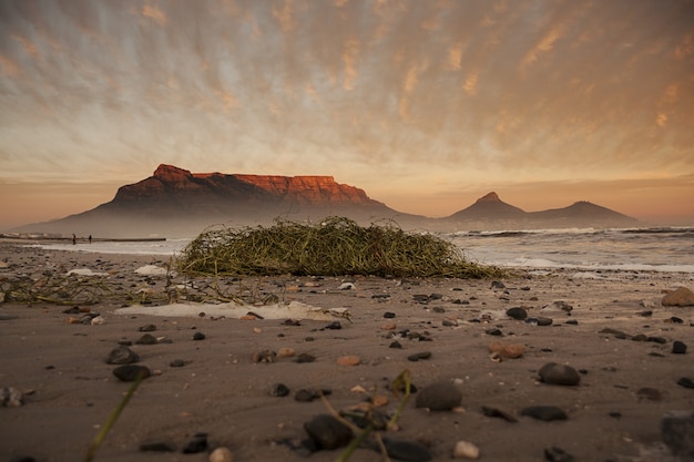 Photo gratuite prise de vue en contre-plongée d'une plage sale avec une falaise en arrière-plan par temps nuageux