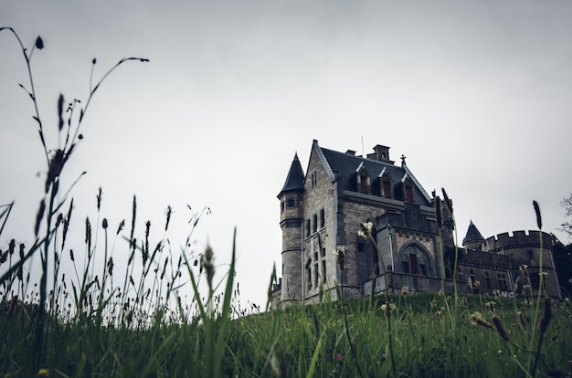 Prise de vue en contre-plongée d'un vieux beau château sur une colline herbeuse