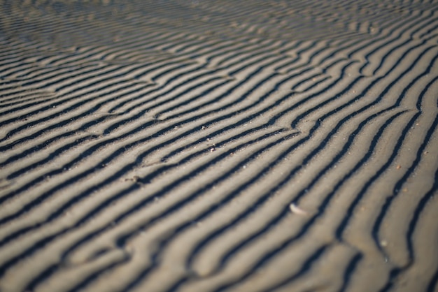 Photo gratuite prise de vue à couper le souffle d'un sable de la côte avec de beaux motifs faits par le vent